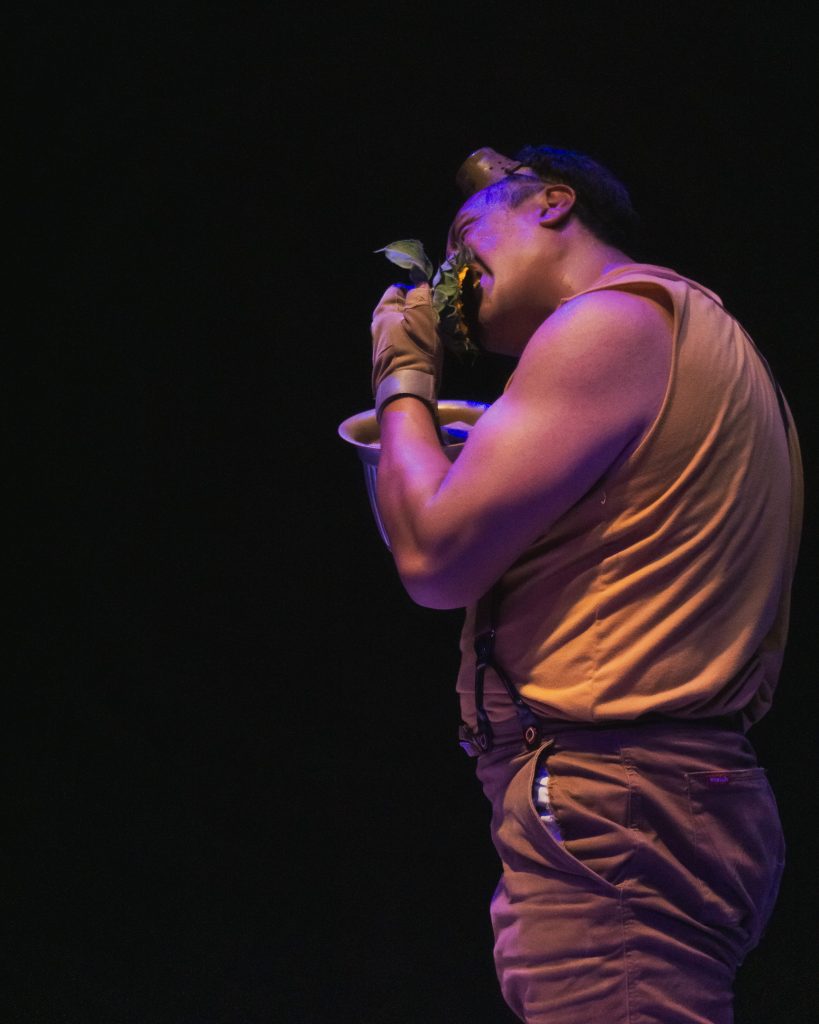 Girasoles en la Luna - Academia Mexicana de Fotografía