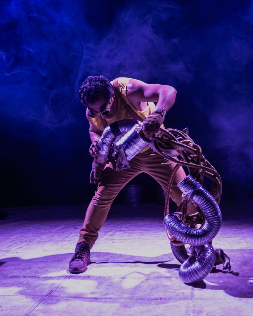 Girasoles en la Luna - Academia Mexicana de Fotografía