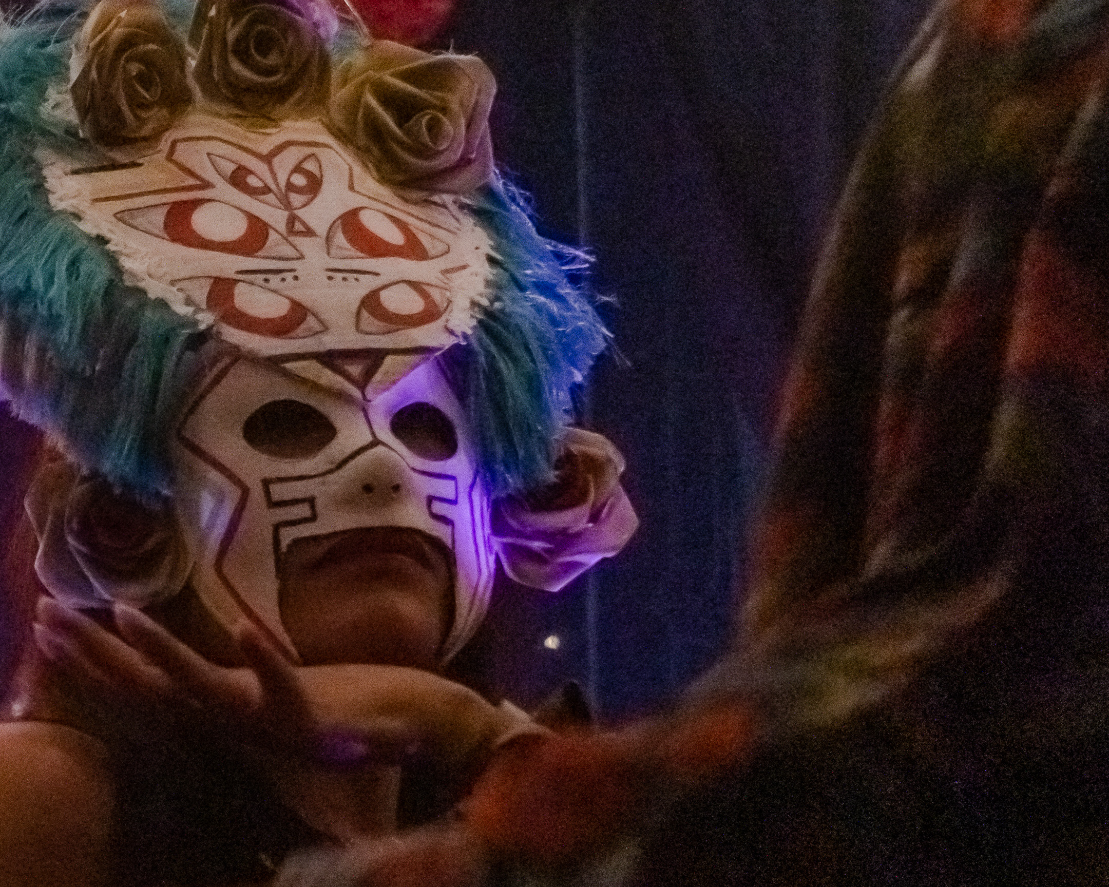 Ardimithya: El origen de los alebrijes - Academia Mexicana de Fotografía