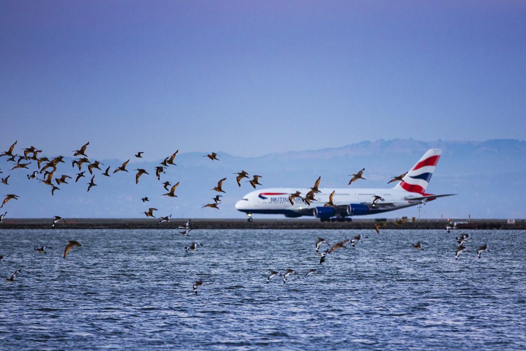 Christian González Verón – Fotógrafo afiliado en CDMX a la Academia Mexicana de Fotografía