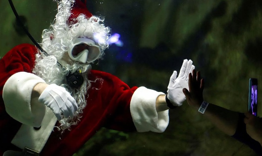 Michelle Freyria - Fotógrafa - Guadalajara - Academia Mexicana de Fotografía