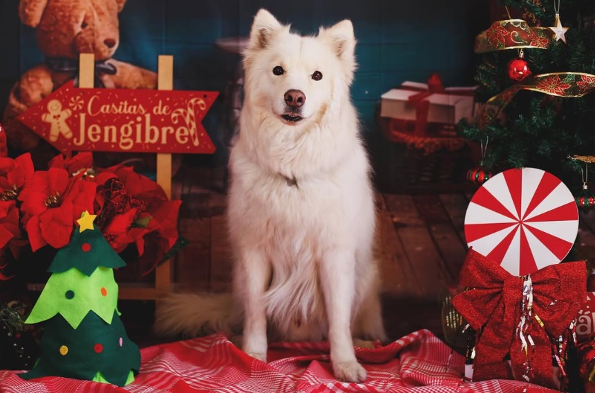 Michelle Freyria - Fotógrafa - Guadalajara - Academia Mexicana de Fotografía