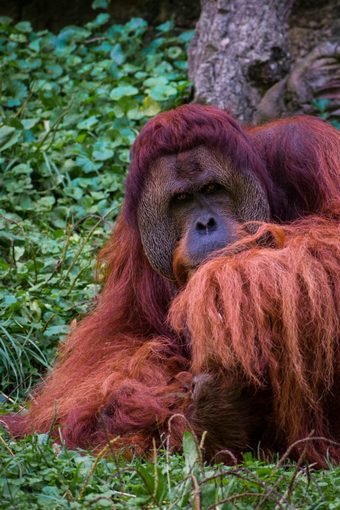 Sergio Iván Pinzón Fuentes – Fotógrafo embajador de CDMX en Academia Mexicana de Fotografía