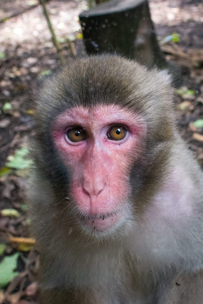Sergio Iván Pinzón Fuentes – Fotógrafo embajador de CDMX en Academia Mexicana de Fotografía