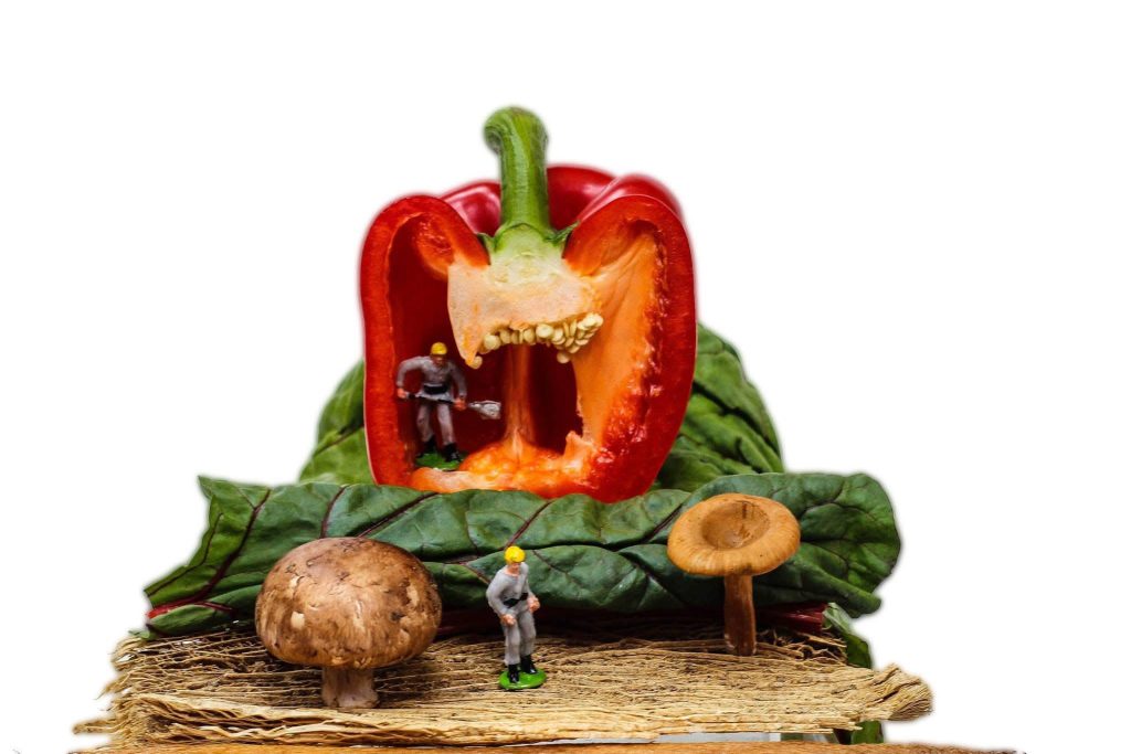 Alicia García Carvallo – Fotógrafa afiliada en CDMX – Academia Mexicana de Fotografía