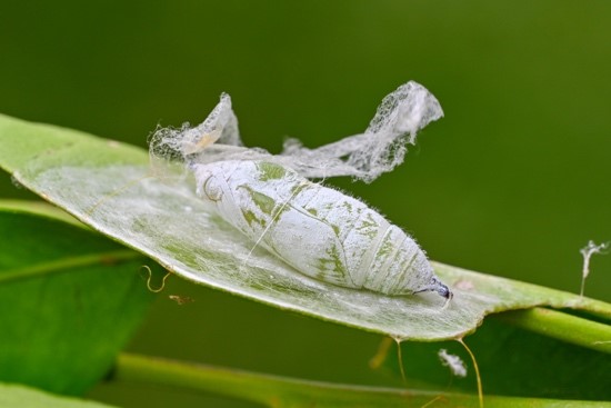 Miguel Velasco - Fotógrafo afiliado en CDMX - Academia Mexicana de Fotografía