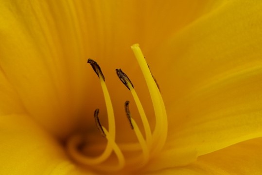 Miguel Velasco - Fotógrafo afiliado en CDMX - Academia Mexicana de Fotografía