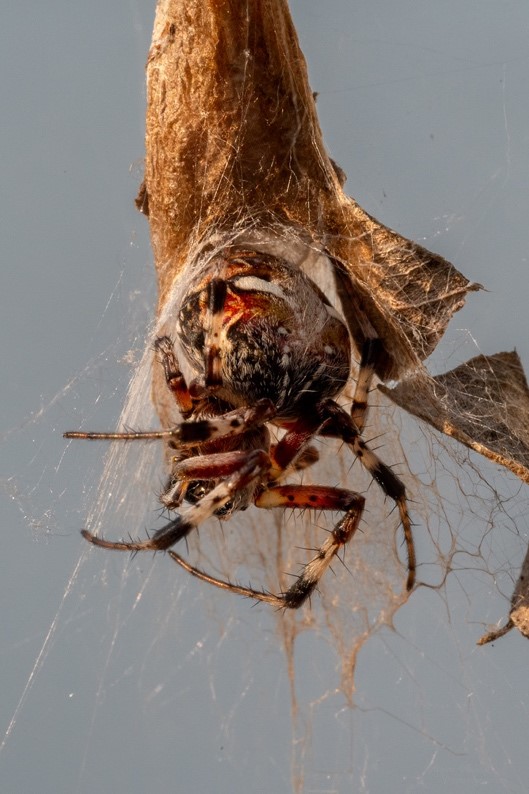Miguel Velasco - Fotógrafo afiliado en CDMX - Academia Mexicana de Fotografía