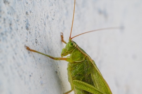 Miguel Velasco - Fotógrafo afiliado en CDMX - Academia Mexicana de Fotografía
