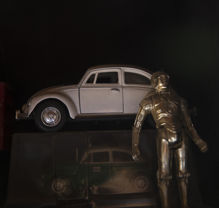 Mariana Barreiro Guijosa – Fotógrafa Embajadora en Morelos – Academia Mexicana de Fotografía