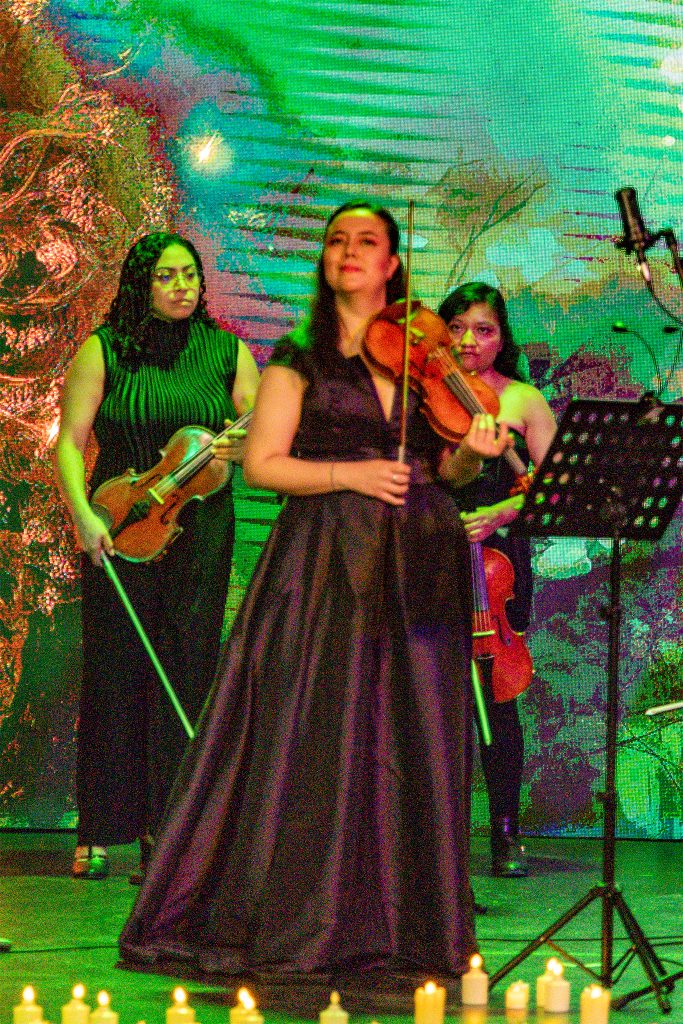 INSIDE VIVALDI - Fotógrafo - Academia Mexicana de Fotografía