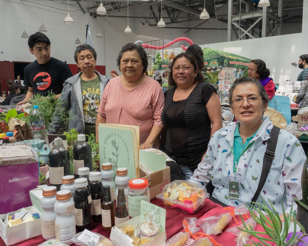 Día Internacional de las Serpientes en el Festival Mexicano de las Serpientes - Angélica Núñez Rico