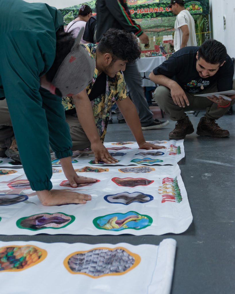 Día Internacional de las Serpientes en el Festival Mexicano de las Serpientes - Angélica Núñez Rico