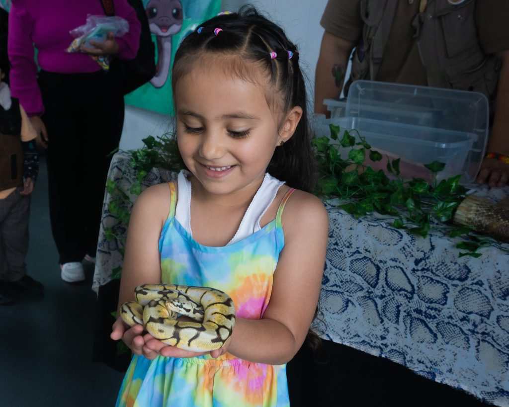 Día Internacional de las Serpientes en el Festival Mexicano de las Serpientes - Angélica Núñez Rico