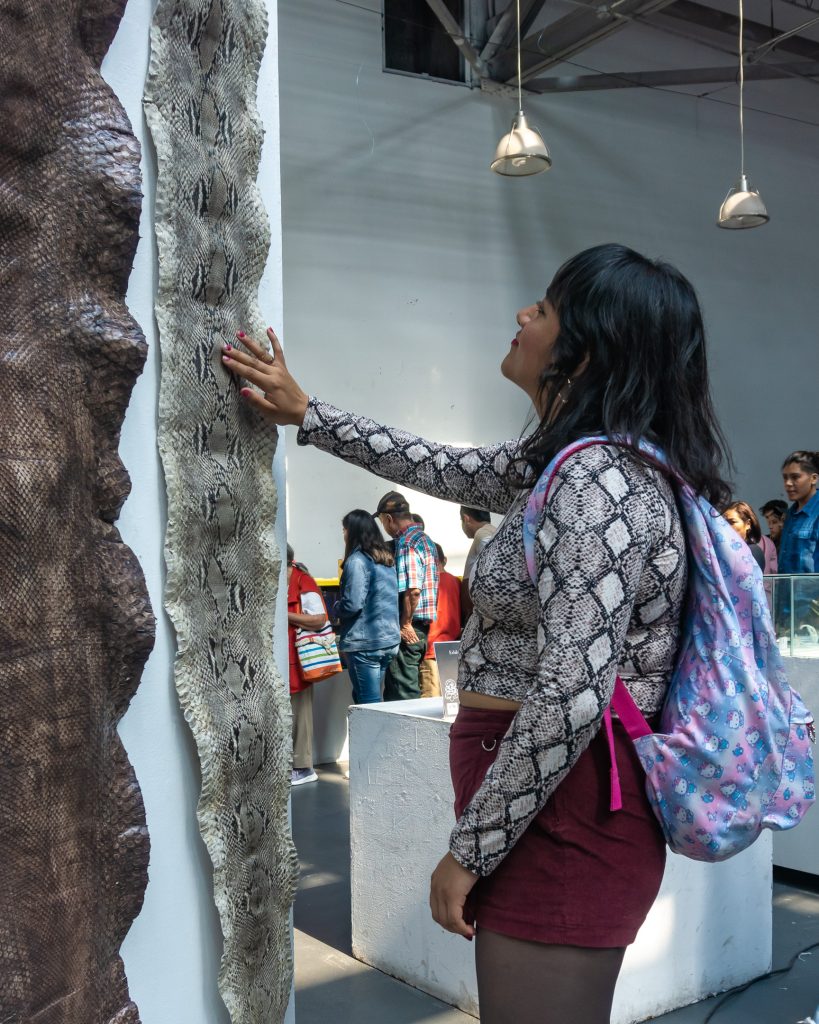Día Internacional de las Serpientes en el Festival Mexicano de las Serpientes - Angélica Núñez Rico
