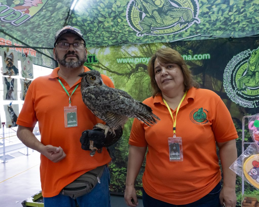 Día Internacional de las Serpientes en el Festival Mexicano de las Serpientes - Angélica Núñez Rico