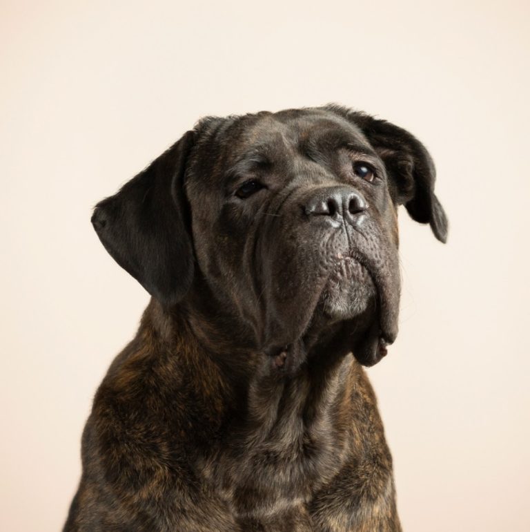 Sergio Guerra - Fotógrafo Embajador de Monterrey - Academia Mexicana de Fotografía